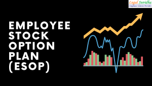 Employee Stock Option Plan