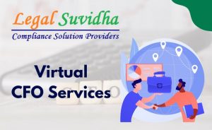 Virtual CFO Services