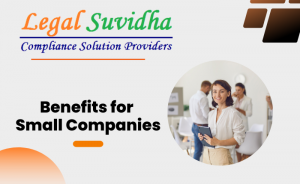 Benefits for Small Companies